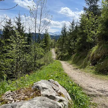 Loft Kraemerhaus Annaberg, Dachstein West * アンベルク・イム・ランマータール