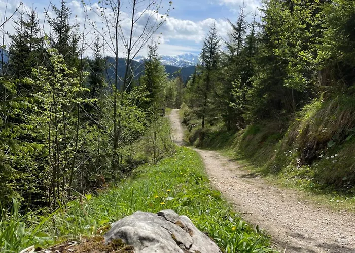 Grosses Apartment In Annaberg , 4 Schlafzimmer, 2 Badezimmer, 8 Personen, Zentrum * Annaberg im Lammertal